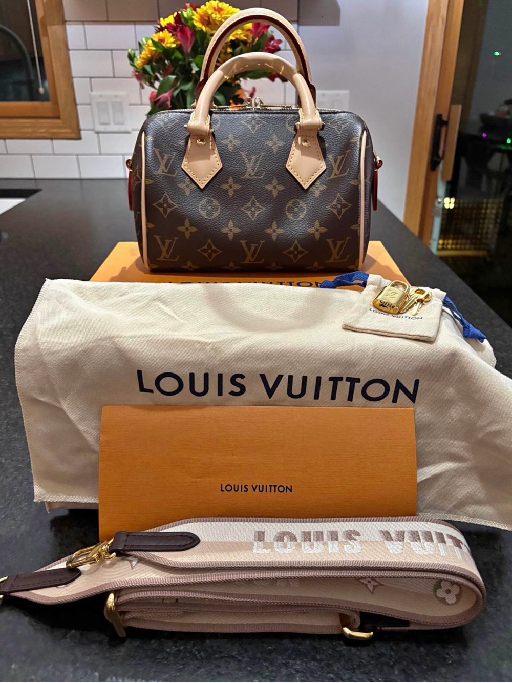 Louis Vuitton Speedy 25 Monogram Canvas